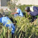 Horticultural programs provide therapy and job preparation